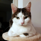 Profilbild für Erik E