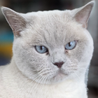 Profilbild für Mariana G