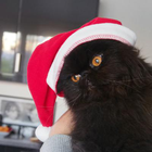 Avatar pour Dominique S