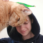 Profilbild für Joelle A