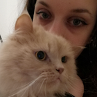 Profilbild für Lisa L
