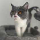 Profilbild für Isabel R