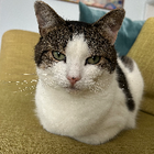 Avatar for Felicity L