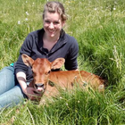 Profilbild für Rebecka W