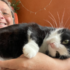 Profilbild für Sibylle O