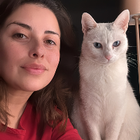 Profilbild für Saray C
