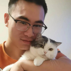 Profilbild für Jonas C