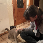 Profilbild für Lara T