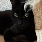 Profilbild für Sabrina M