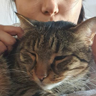 Profilbild für Farah B