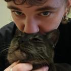 Profilbild für Laetitia W