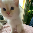 Profilbild für Carla P