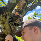 Profilbild für Nico R