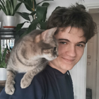 Profilbild für Attila Raim H