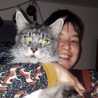 Profilbild für Katharina G