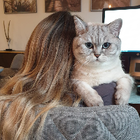 Profilbild für Helena W