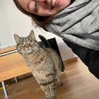 Profilbild für Annina R
