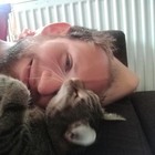 Profilbild für Daniel P