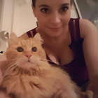 Profielfoto voor Fanny A