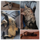 Profilbild für Ramona E
