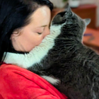 Avatar pour Amandine G