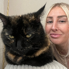 Profilbild für Julia W