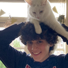 Profielfoto voor Vito K