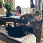 Profielfoto voor Lorena I