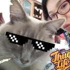 Avatar pour Annie L