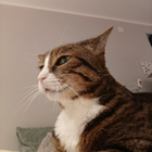 Profilbild für Carla S