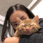 Profilbild für Peiqi W