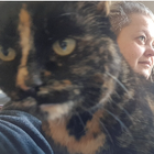 Profilbild für jana s