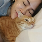 Profilbild für Tarruthai T