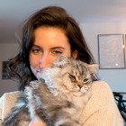 Profilbild für Daphne V