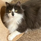 Avatar for Margaret W