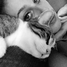 Avatar pour Lola B