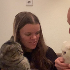 Profilbild für Elisa E