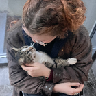 Profilbild für Charlotte H