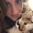 Profilbild für Areta K