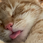 Profilbild für Anja W