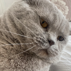 Profilbild für Esra K