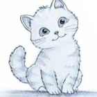Avatar for Sumaira J
