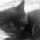 Avatar for Kerry S