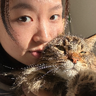 Profilbild für Yufan Z