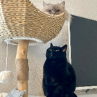 Profilbild für Coco K