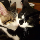 Avatar pour Elodie R