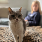 Profilbild für Giannis M
