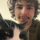 Avatar pour Lilian P