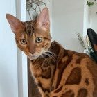 Profilbild für Sascha W