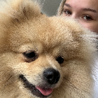Profilbild für Julia K
